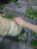 Comb Rubber Dog Hair Remove Brush