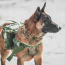 Double Buckle Tactical Dog Collar