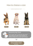 Double Buckle Tactical Dog Collar