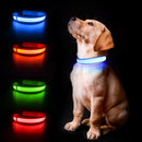 Luminous LED Dog Collar