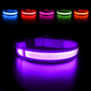 Luminous LED Dog Collar