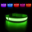Luminous LED Dog Collar