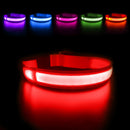 Luminous LED Dog Collar