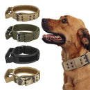 Double Buckle Tactical Dog Collar