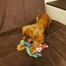Pet Dog Squeaky Chew Toys