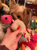 Pet Dog Squeaky Chew Toys