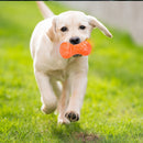 Bone Sturdy Dog Chew Toy