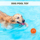Polka Squeaky Tooth Cleaning Ball