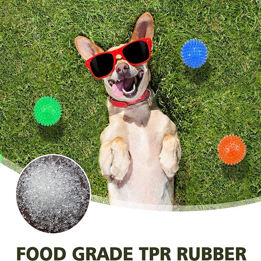 Polka Squeaky Tooth Cleaning Ball