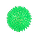 Polka Squeaky Tooth Cleaning Ball