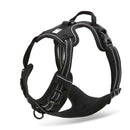 Front Range Nylon Large Dog Harness