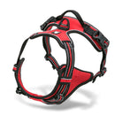 Front Range Nylon Large Dog Harness