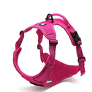 Front Range Nylon Large Dog Harness
