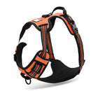 Front Range Nylon Large Dog Harness
