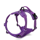 Front Range Nylon Large Dog Harness