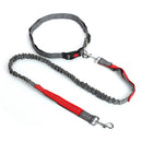 Nylon Breakaway Leashes