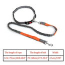 Nylon Breakaway Leashes