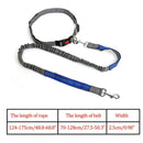 Nylon Breakaway Leashes