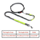 Nylon Breakaway Leashes