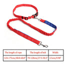 Nylon Breakaway Leashes