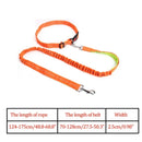 Nylon Breakaway Leashes