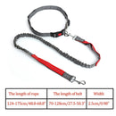 Nylon Breakaway Leashes