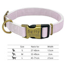 Nameplate Reflective Personalized Pet Collar