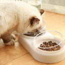 3 in 1 Automatic Water Bowl And Food Feeder Bowl Set
