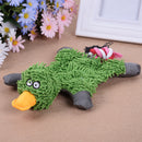 Pet Dog Squeaky Chew Toys