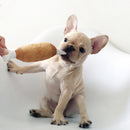 Puppy Squeaker Sound Chicken Leg Bone Toys