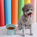 Binaural Pet Feeding Cup Pet Feeder Bowl