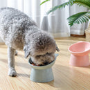 Binaural Pet Feeding Cup Pet Feeder Bowl