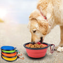 Collapsible Dog Bowl