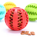 Tooth Cleaning Dogs Ball Interactive Toys
