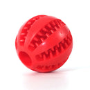 Tooth Cleaning Dogs Ball Interactive Toys