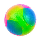 Dog Toy Light Squeak Soccer Ball