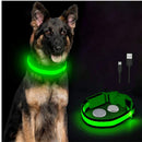 Usb Charging Led Dog Luminous Collars