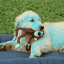 Donkey Shape Corduroy Chew Toy