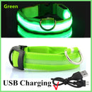 Usb Charging Led Dog Luminous Collars