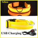 Usb Charging Led Dog Luminous Collars