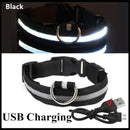 Usb Charging Led Dog Luminous Collars