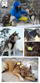 Front Range Nylon Large Dog Harness