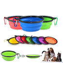 Collapsible Dog Bowl