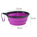 Collapsible Dog Bowl