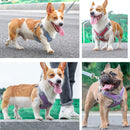Luminous Adjustable Collar Leash Dog Harness