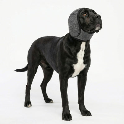 Waterproof Dog Ear Muffs for Swimming & Grooming