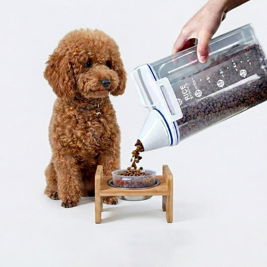 1.5kg/2kg Pet Food Pail Plastic Storage Tank