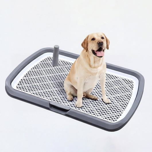 Reusable Dog Potty Trainer Dog Toilet Tray