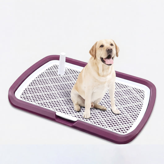 Reusable Dog Potty Trainer Dog Toilet Tray