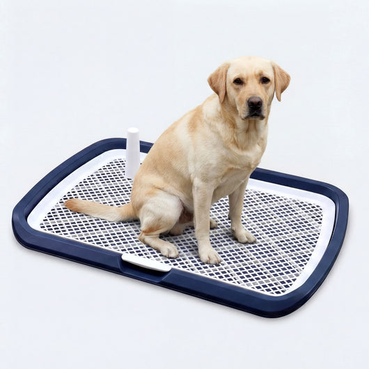 Reusable Dog Potty Trainer Dog Toilet Tray
